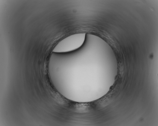 X0000091580378200708201019