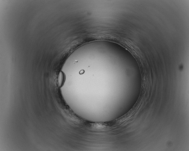 X0000091580380200708201019