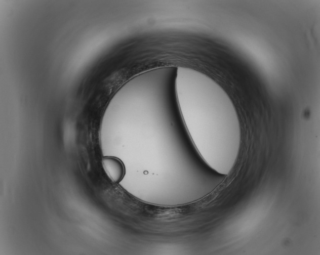 X0000091580382200708201019
