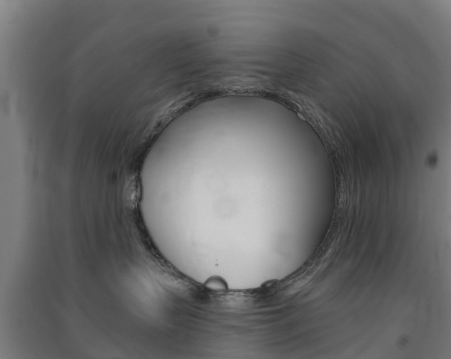 X0000091580383200708201019