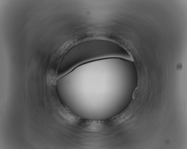 X0000091580384200708201019