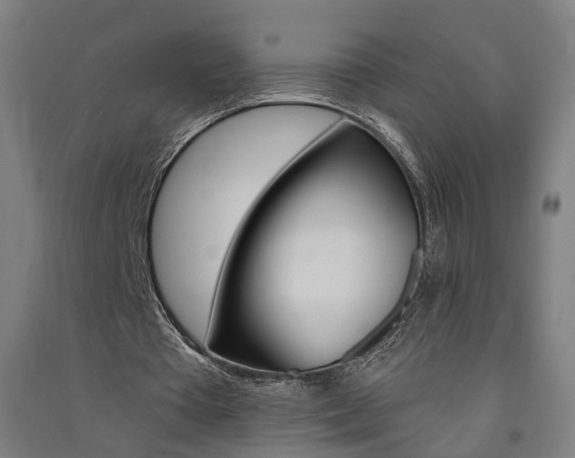 X0000091580385200708201018