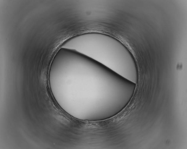 X0000091580386200708201018