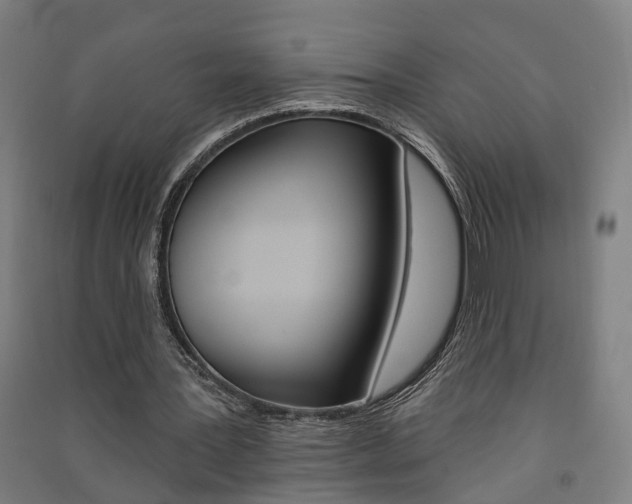 X0000091580387200708201018