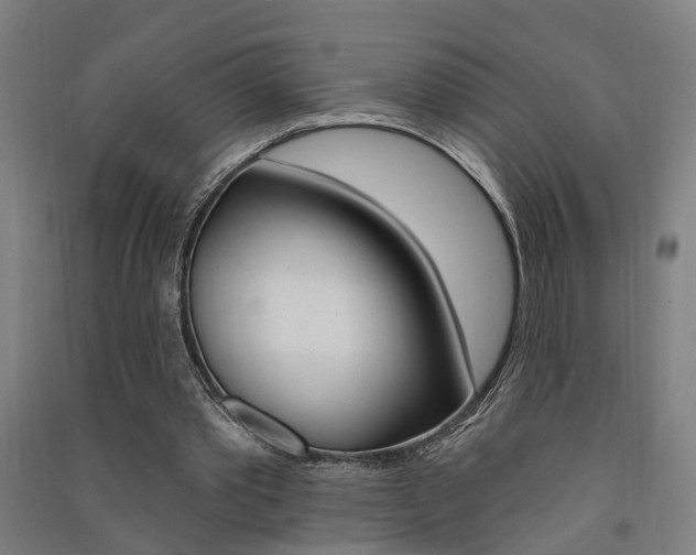 X0000091580389200708201018