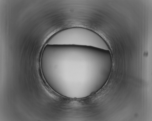 X0000091580390200708201018