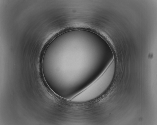 X0000091580391200708201018