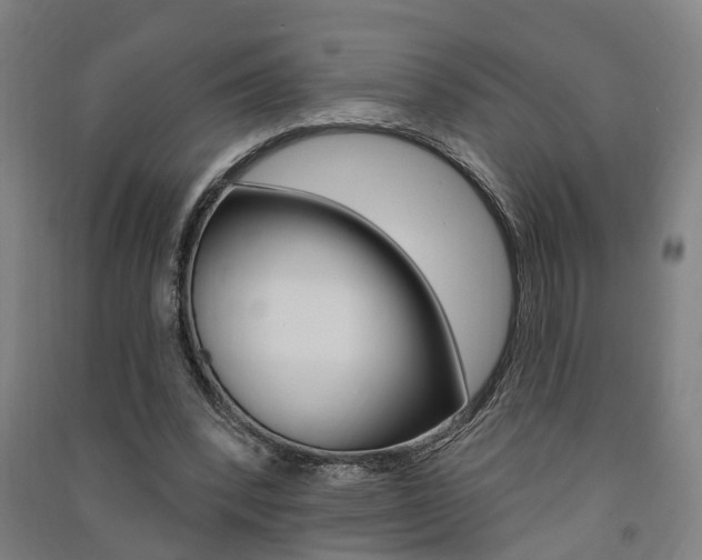 X0000091580392200708201018