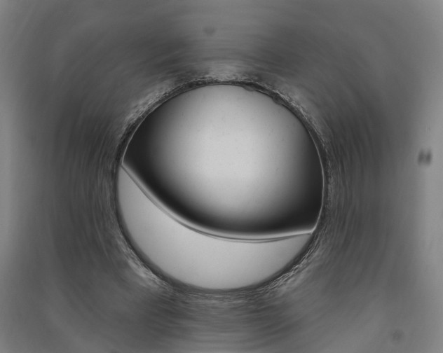 X0000091580393200708201018