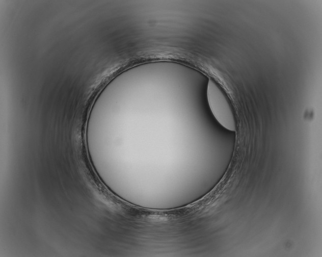 X0000091580394200708201018