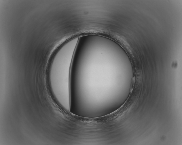 X0000091580395200708201018