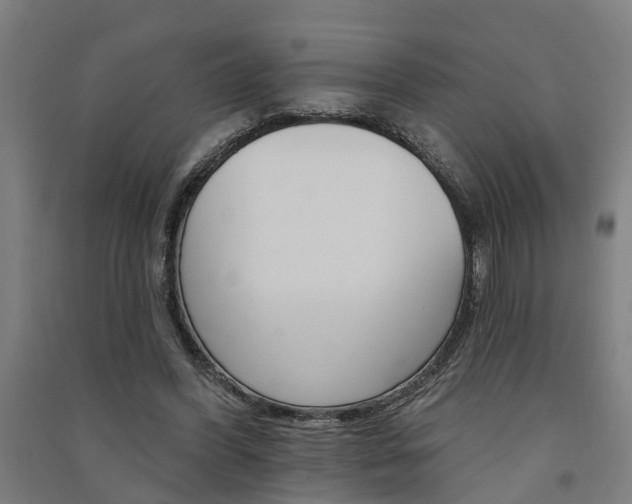 X0000091580396200708201018