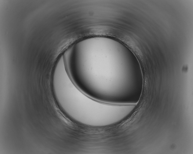 X0000091580397200708201018