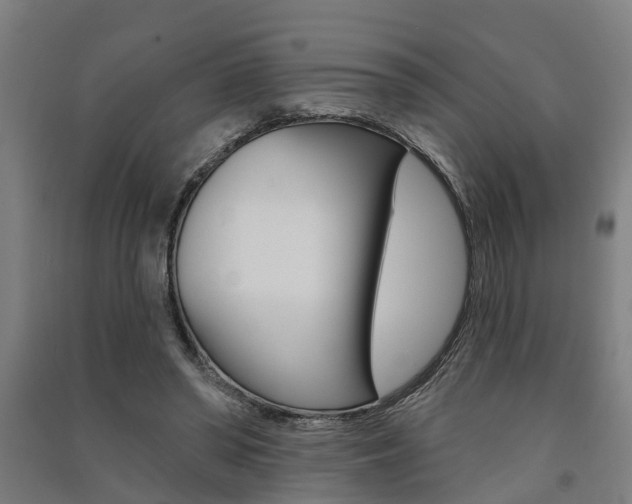 X0000091580398200708201018