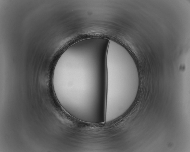 X0000091580400200708201018