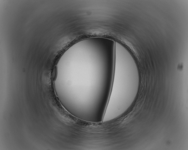 X0000091580403200708201018