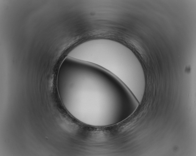 X0000091580404200708201018
