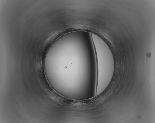 X0000091580407200708201018