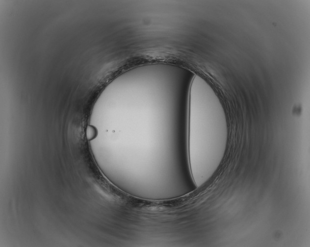 X0000091580408200708201018