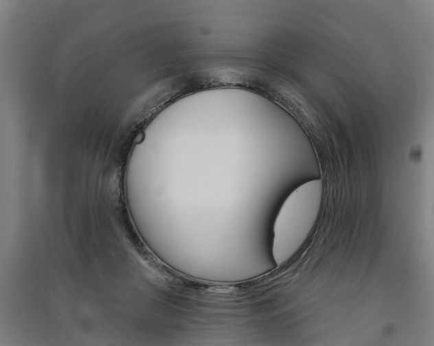 X0000091580410200708201018