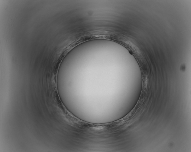 X0000091580411200708201018