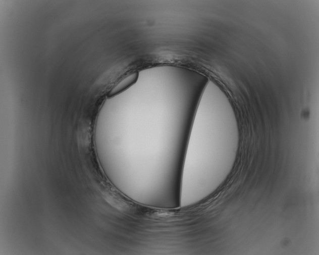 X0000091580413200708201018