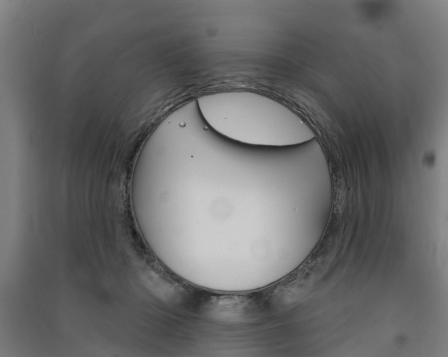 X0000091580414200708201018