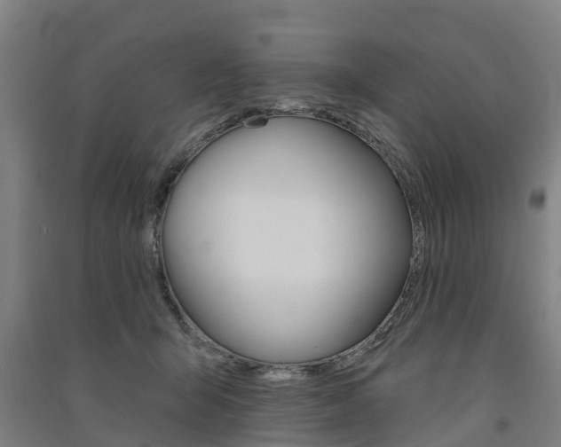 X0000091580415200708201018