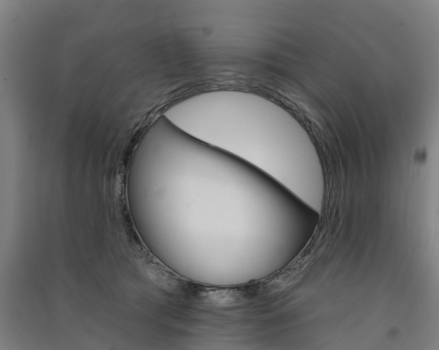 X0000091580417200708201018