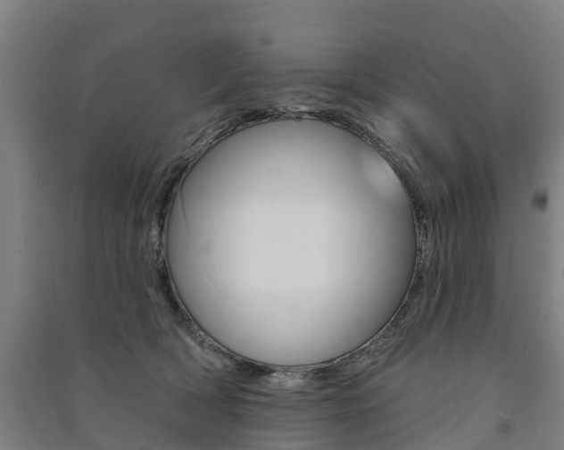 X0000091580418200708201018