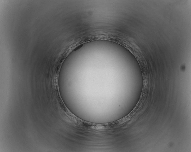 X0000091580419200708201018