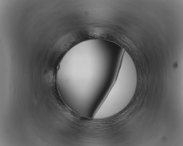 X0000091580420200708201018