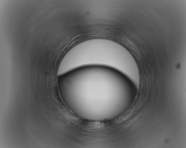 X0000091580421200708201018