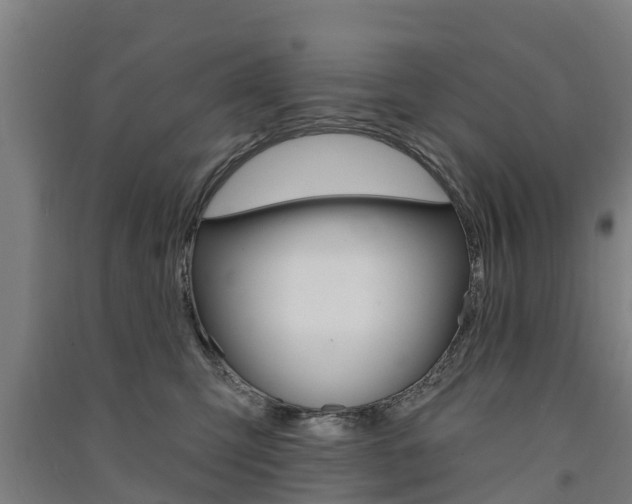 X0000091580423200708201018