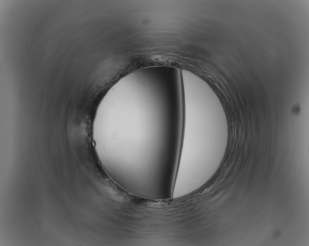 X0000091580424200708201018
