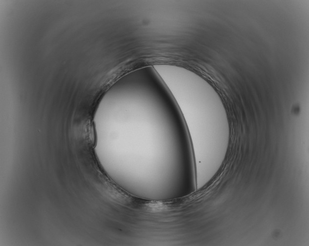 X0000091580425200708201018