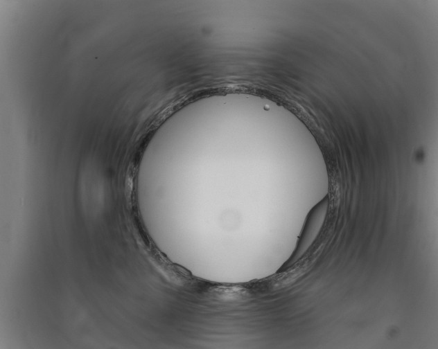 X0000091580427200708201018