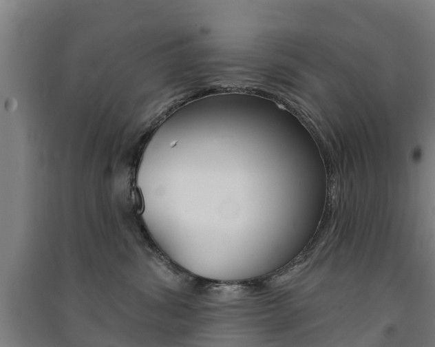 X0000091580428200708201018