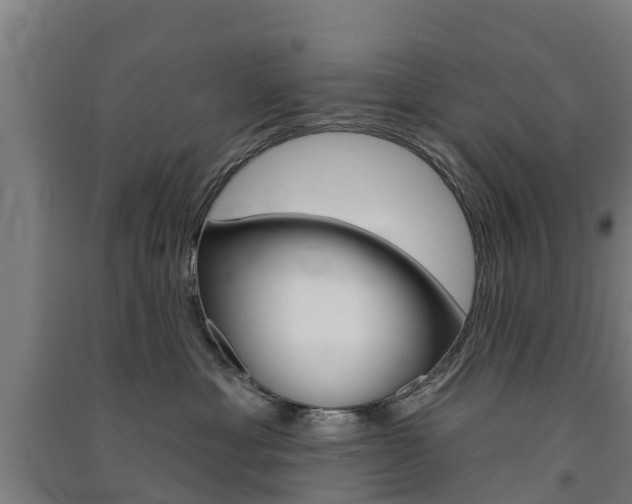 X0000091580429200708201017