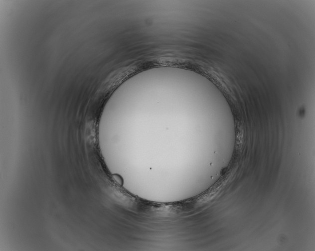 X0000091580430200708201017