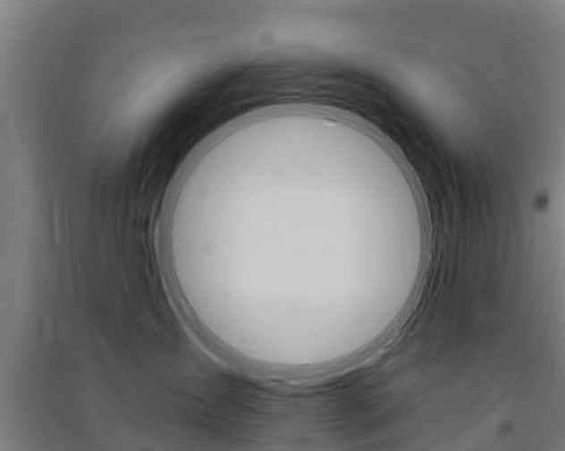 X0000091580431200708201017
