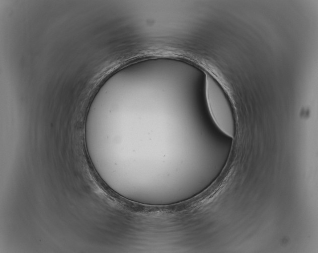 X0000091580433200708201017