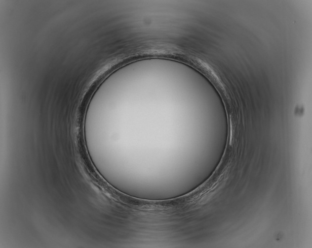 X0000091580435200708201017