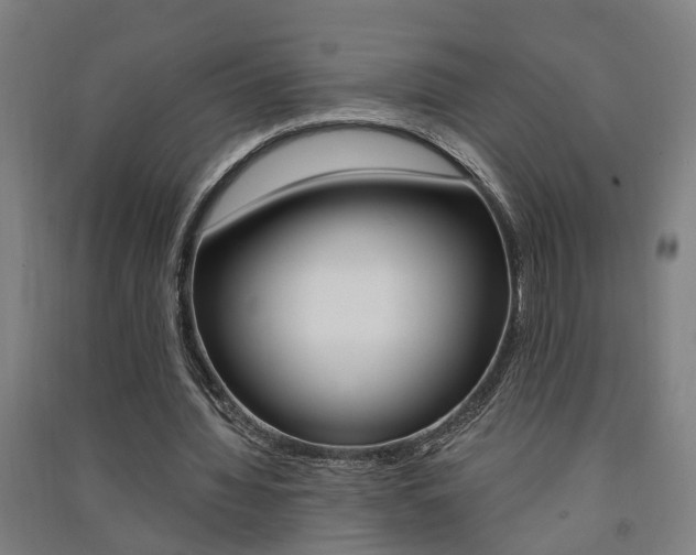 X0000091580436200708201017