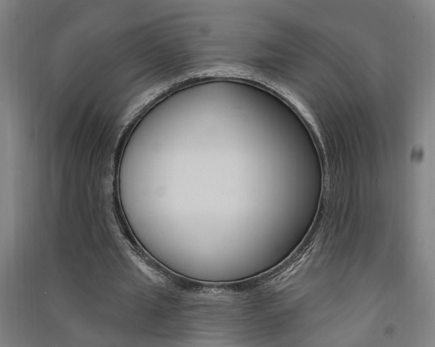 X0000091580437200708201017