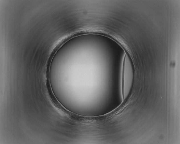 X0000091580438200708201017