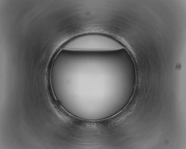 X0000091580439200708201017