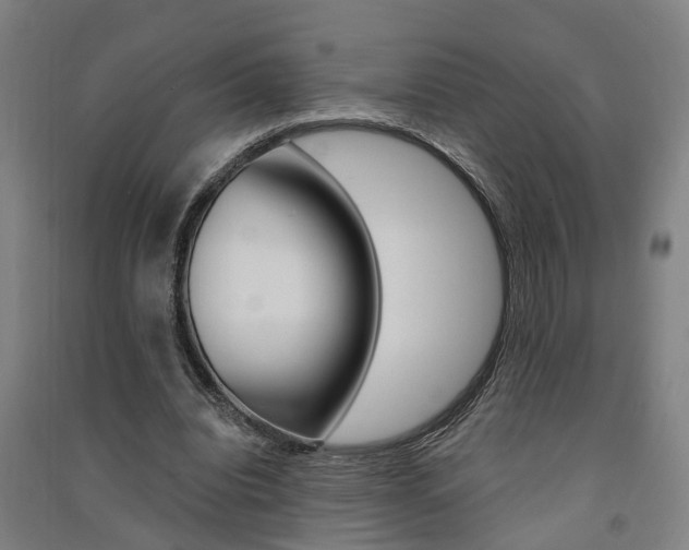 X0000091580440200708201017