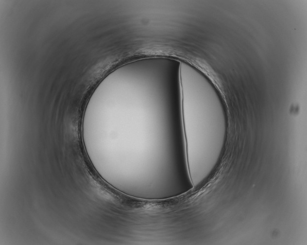 X0000091580441200708201017