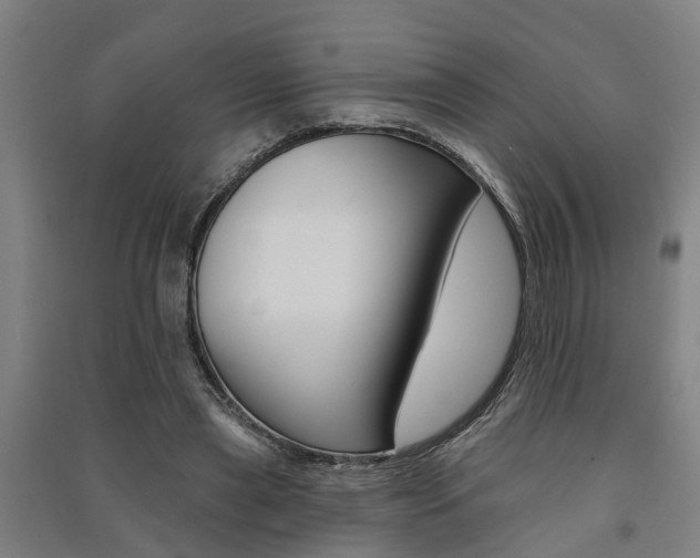 X0000091580445200708201017